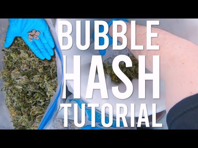 MAKING HASH: TURNING SHAKY TRIM INTO BUBBLE HASH