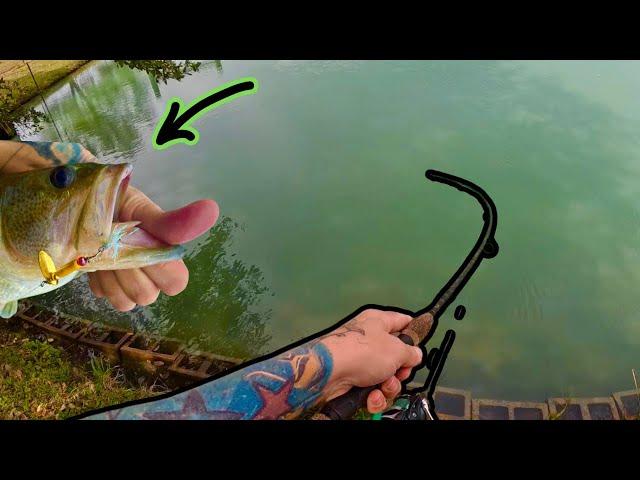 Did my HAND MADE fishing lures catch fish in a random pond?