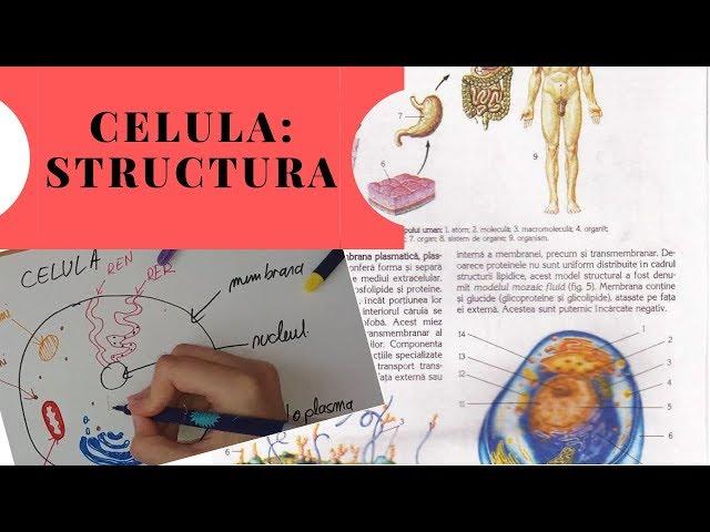 ADMITERE MEDICINA: CELULA - Structura - PARTEA 1/3