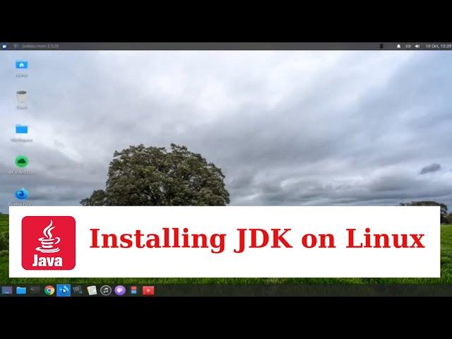 How to Install jdk 11 on Linux