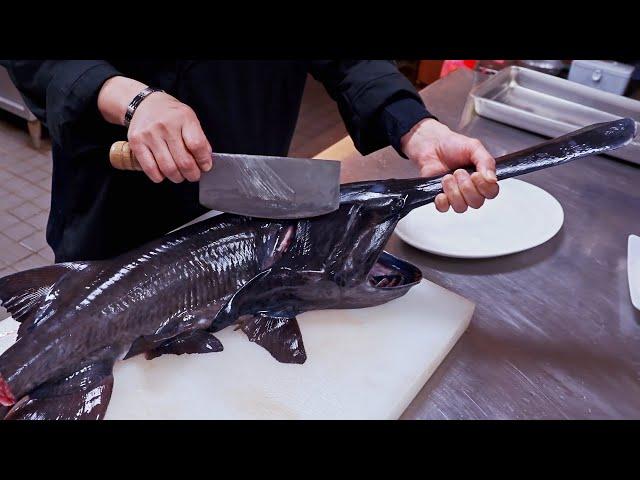 Most unique fish！Steamed fish, Sashimi cutting skills/ 怪物魚降臨！ 鴨嘴鱘切割技巧, 清蒸白鱘魚, 刺身