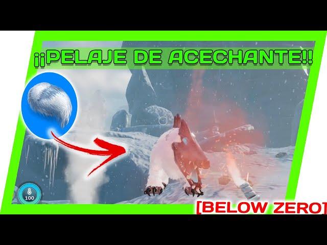  COMO CONSEGUIR PELAJE de ACECHANTE de LAS NIEVES en BELOW ZERO  -  Subnautica Below Zero 