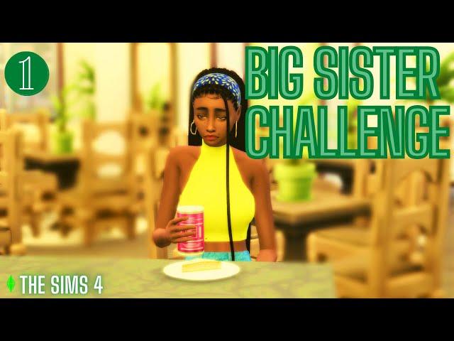 The Struggle Begins | The Sims 4 Big Sister Challenge #1