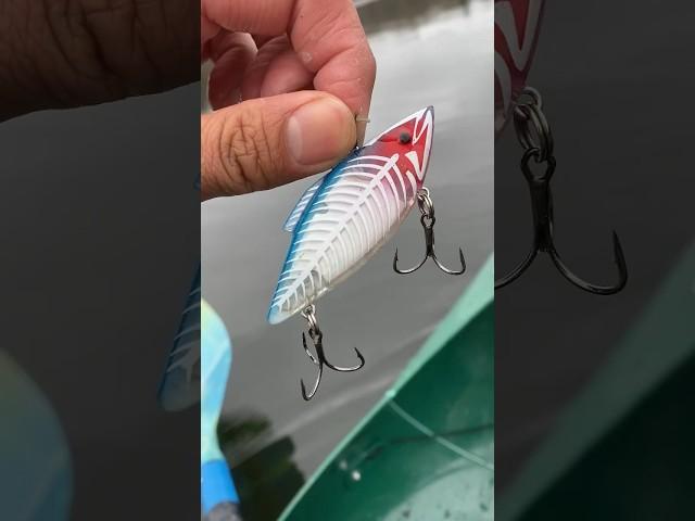 $5 Fishing Lure vs. $35 Fishing Lure! #shorts #fishing