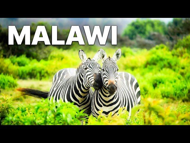 Malawi -  Land Of Plains And Highlands | Documentary