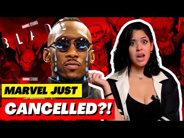 BLADE Movie "DELAYED INDEFINITELY" | WHY It's DOOMED!