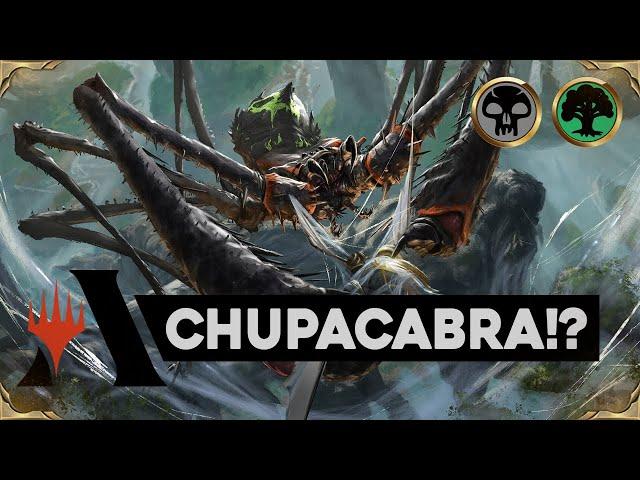 SKYFISHER SPIDER Golgari Midrange | Magic the Gathering: Arena Standard Deck