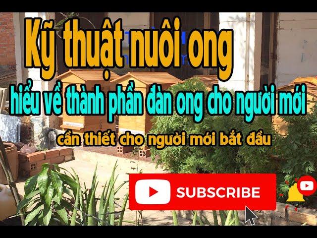 Kỹ thuật nuôi ong - phân biệt cấu tạo đàn ong | Ong Thành Nam