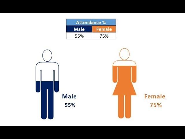 Male and Female Info-graphics in Excel