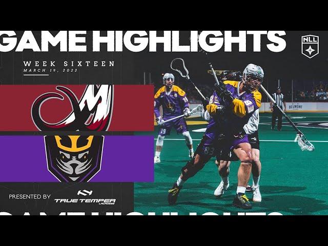 Colorado Mammoth vs San Diego Seals | Game Highlight