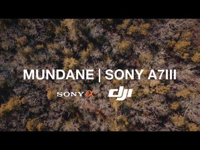 Sony A7III | DJI Mini 2 Cinematic