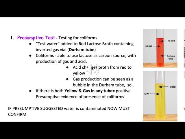 Lesson 5  Water Testing