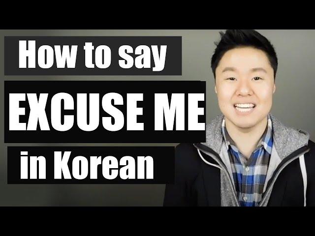 Excuse Me  in Korean | Learn Korean With Beeline