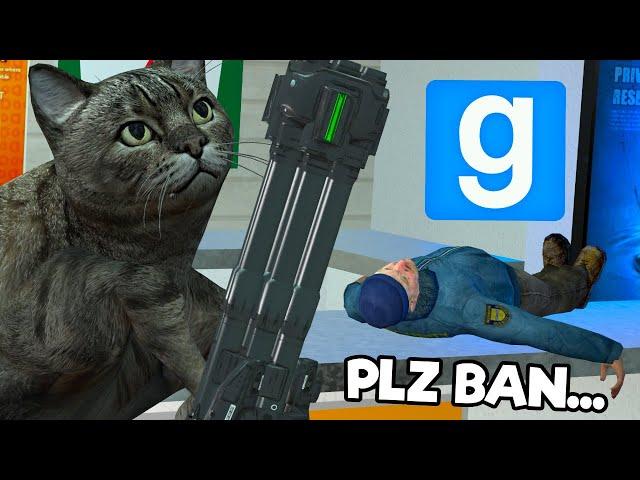 I 100% Should Have Been Banned!!! - Gmod Dark RP Cat Trolling