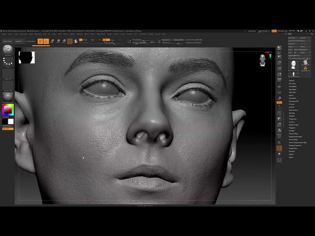 VFace - Zbrush tool now included