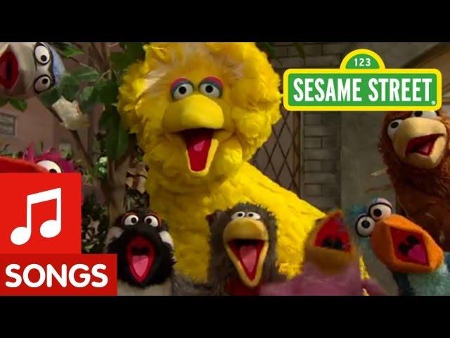 Sesame Street: Big Bird sings "That's Cooperation"