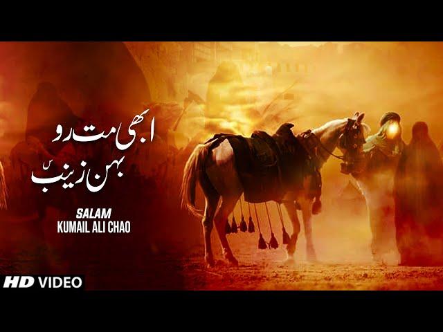 Soz O Salam || Abhi Mat Ro Behan Zainab || Kumail Ali Chao || Muharram 2020 Special || Tna Records