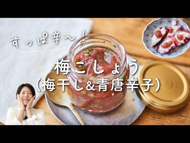 【すっぱ辛い調味料！】梅こしょうのレシピ・作り方