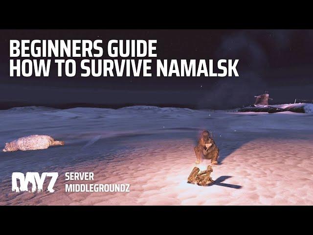 Beginners guide How to Survive Namalsk  DayZ Standalone