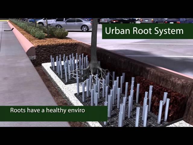 Urban Root System x Century Products