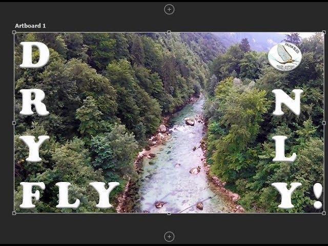 DRY FLY Fishing Slovenia Sava Bohinjka