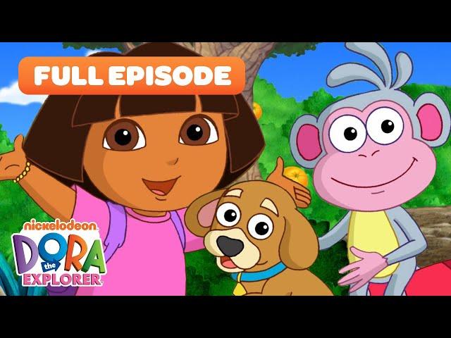 Dora & Boots Go On a Puppy Adventure!  | FULL EPISODE "Perrito's Big Surprise" | Dora the Explorer