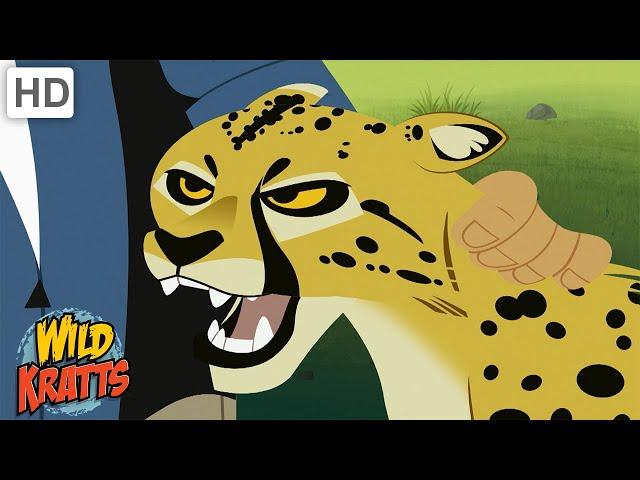 Wild Kratts | Cheetahs | The World's Fastest Land Animal [Full Episodes]