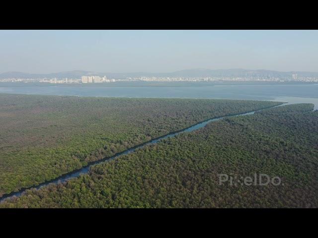 Vikhroli Mangroves Drone View