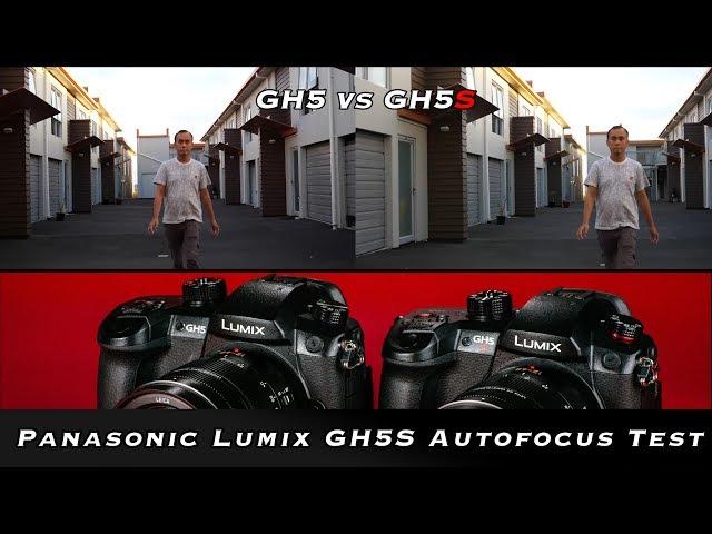 Panasonic Lumix GH5S Autofocus test (vs GH5)