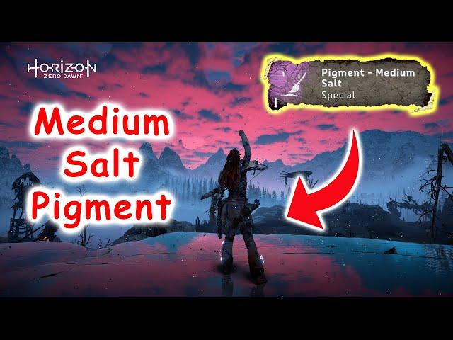 Horizon : Zero Dawn - Pigments - Medium Salt