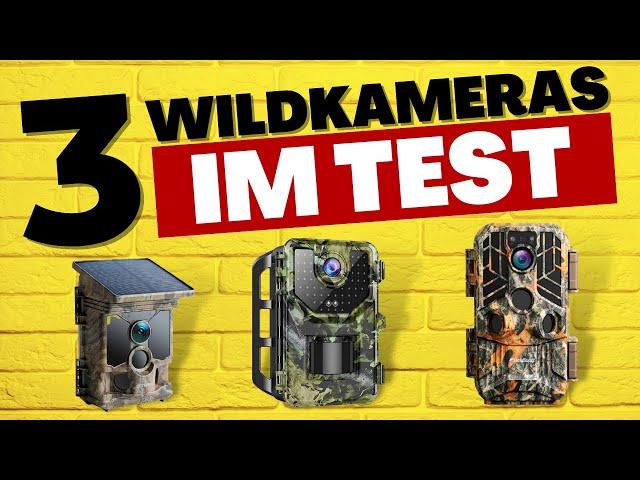 Die BESTEN Wildkameras (2024) - TESTSIEGER im Vergleich!