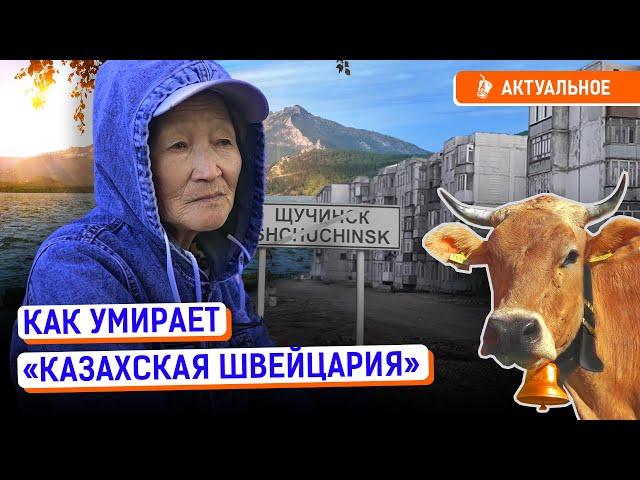 Щучинск-Кокшетау: дворцы и трущобы | Аварийное жилье, бедность, Бурабай, Риксос, акимы, Казахстан