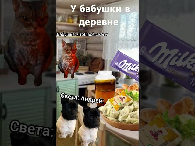 У бабушки в деревне #fup #кот #прикол #cat #топ #лето #юмор #деревня #бабушка