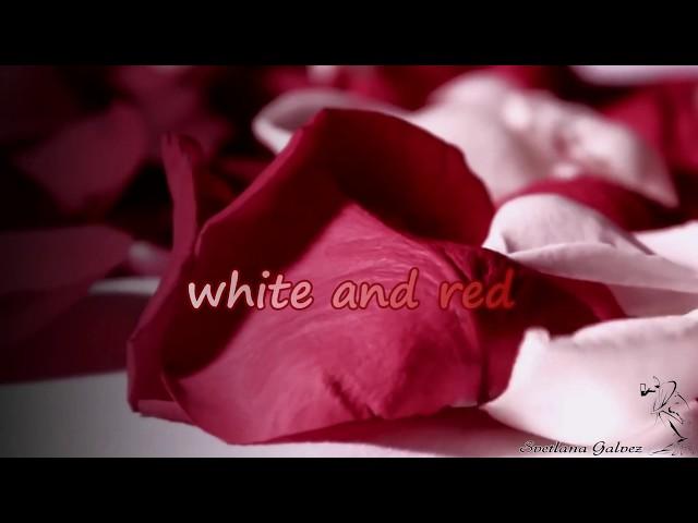 The music is in the heart. White and Red. Johann Pachelbel. Canon.Музыка в сердце.