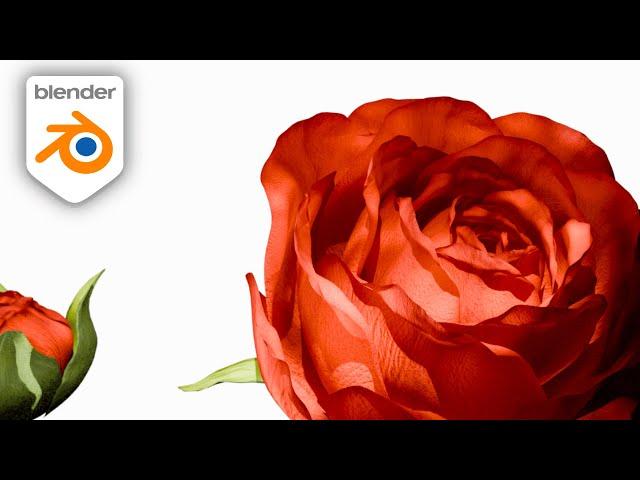 Make Blooming Roses in Blender Geo Nodes