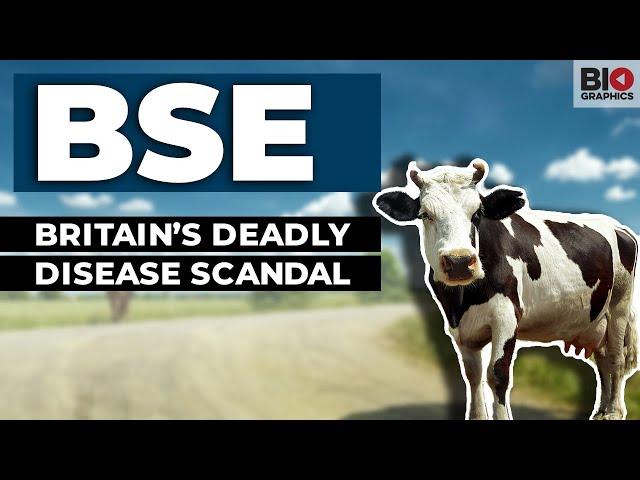 BSE: Britain’s Deadly Disease Scandal