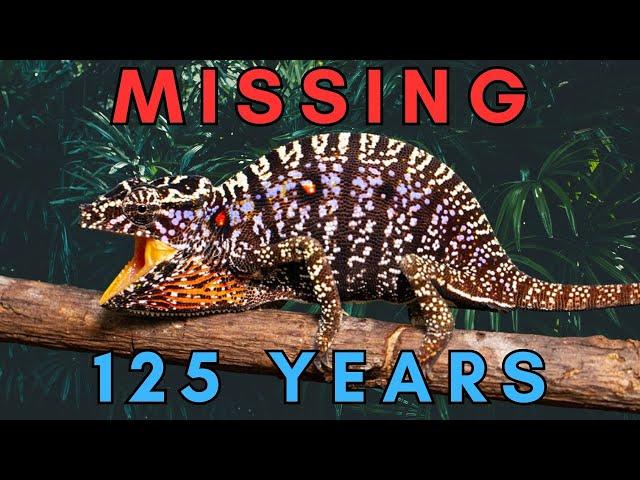 Lost and Found - The Rediscovery of 5 Lost Species