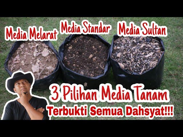 3 KASTA Media Tanam yang Sering Bli Gunakan, nomor Satu bikin geleng kepala!!!