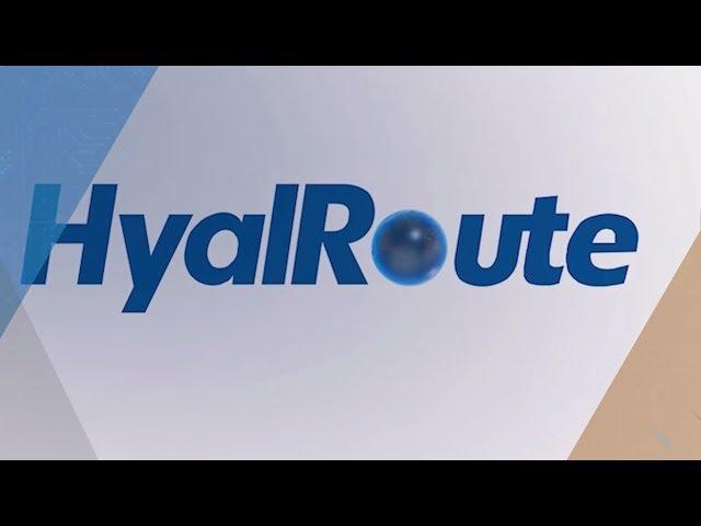 HyalRoute and AAE-1 Submarine Cable