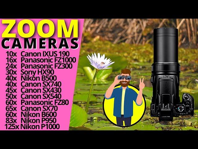 Zoom Cameras Compared