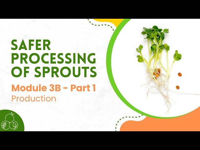 Sprouts: Module 3B Sprout Production | Part 1