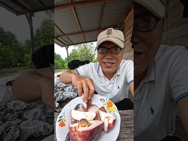 Mukbang Jambu dikebun #vlogging #mukbang