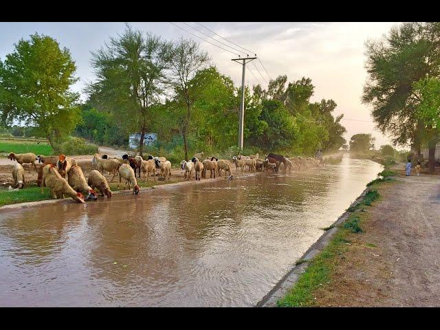 Shahkot Punjab Pakistan Timelapse. 1080p [HD]