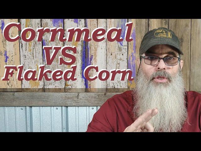Q&A: How to mash cornmeal and flaked corn together to make moonshine