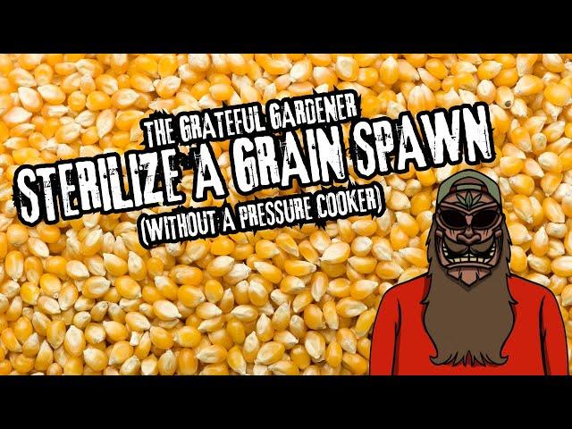 How To Sterilize Grain Spawns Without A Pressure Cooker | The Grateful Gardener