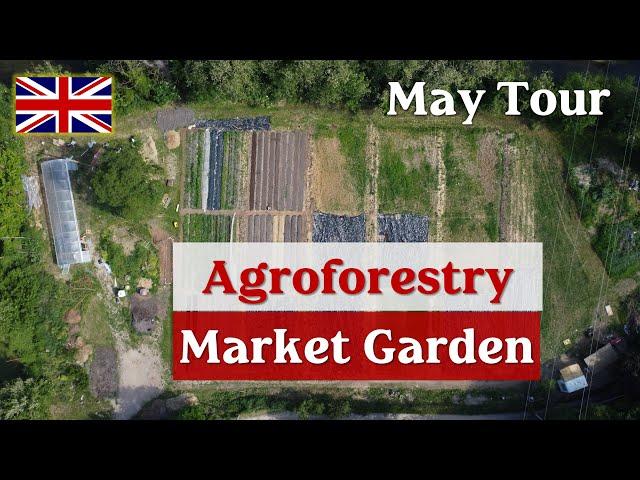 May Tour of Ortoforesta - Agroforestry Market Garden