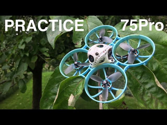 Practice with Betafpv 75Pro ButterflyFPV Edition