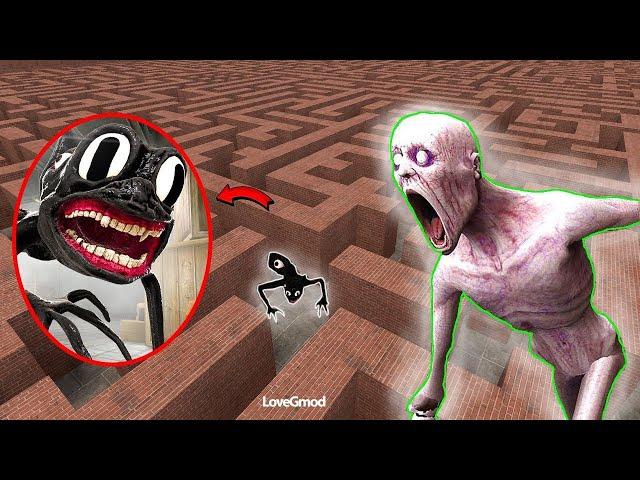 ALL POPPY PLAYTIME CHAPTER 4 CARTOONCAT VS SCP-096 RAiNBOW In Garry's Mod! #poppyplatime4