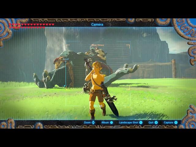 Zelda Breath of the Wild: Wild Hinox Documentary