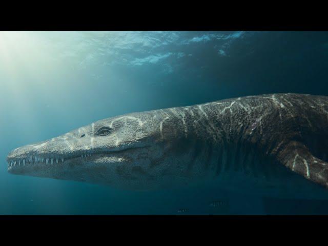 The Tyrannosaurus Rex of the Seas | Attenborough and the Giant Sea Monster | BBC Earth